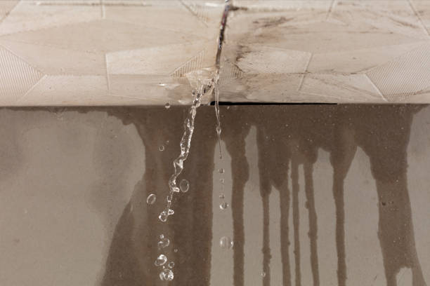 Professional Burst Pipe Cleanup technician working in Matagorda, TX